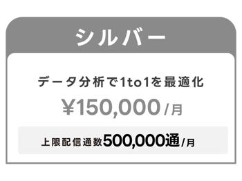 done-plan-silver
