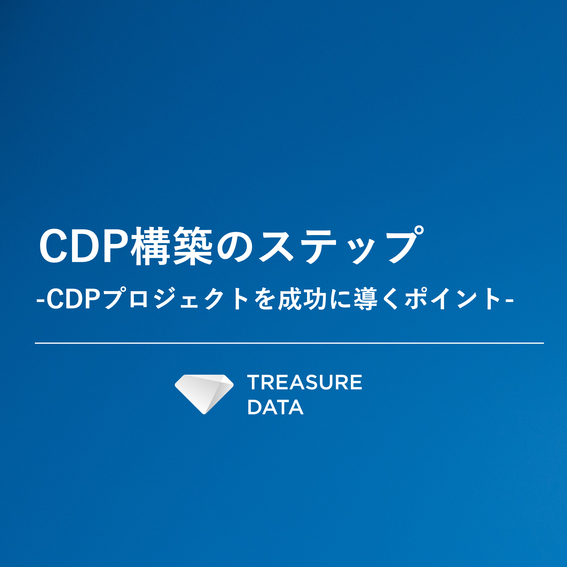 CDP構築のステップ-CDPプロジェクトを成功に導くポイント-